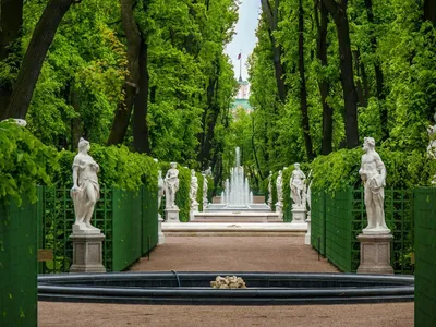 Лучшие места для ночных прогулок в Санкт-Петербурге | Санкт-Петербург Центр