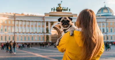 Куда сходить в Санкт-Петербурге: ТОП-20 необычных и интересных мест в Питере