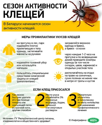 Укус клеща | PUUGIINFO.EE