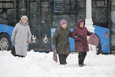 Метель надвигается на Ленобласть