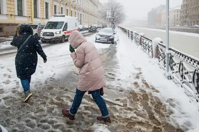 Брянцам 24 ноября пообещали метель и гололед