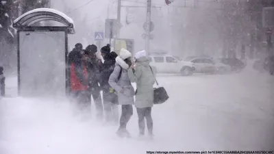 Метель, гололедица и снежные заносы: в столице ухудшится погода / Новости  города / Сайт Москвы