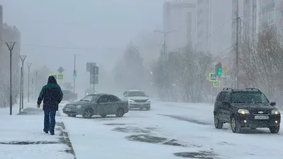 Московская «черная метель» надвигается на Петербург