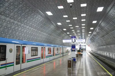 Галерея под землей: 12 станций метро Стокгольма