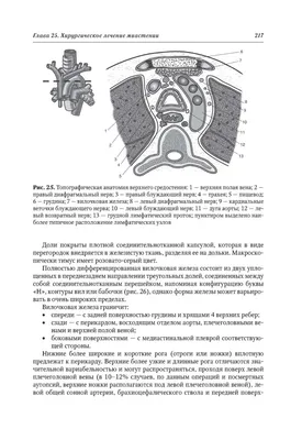 Диагностика и лечение миастении(возрастные аспекты) | Чухловина Мария  Лазаревна