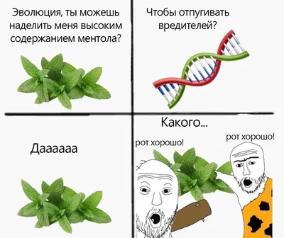 3Д панели ПВХ \"Плитка Мята\" 957x482 мм купить недорого в СПб ☎  +7(812)372-75-19