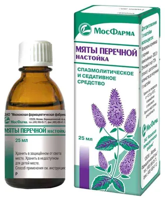 Mentha suaveolens, Мята яблочная|landshaft.info