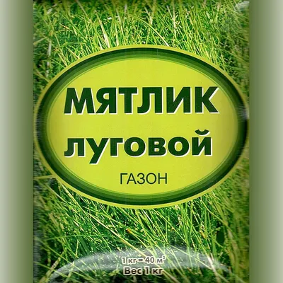 Семена газонных трав и сидератов Русский огород 881010 Мятлик луговой  Виндзор Лимаги 3 кг - купить в Москве, цены на Мегамаркет