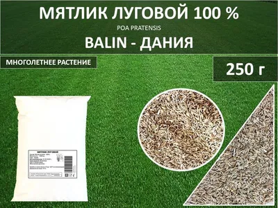 Газон Мятлик луговой Меркурий 100 г Feldsaaten Freudenberger  (ID#522939536), цена: 66.40 ₴, купить на Prom.ua