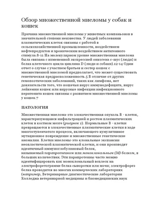 Роль бисфосфонатов в лечении миеломной болезни. Обновленные рекомендации  2007 года Американского Общества Клинической Онкологии (ASCO) | Киле Р.А.,  Ие Г.С., Сомерфилд М.Р. | «РМЖ» №13 от 08.07.2007