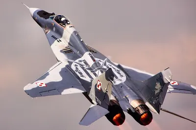 File:MiG-29 38.JPG - Wikimedia Commons