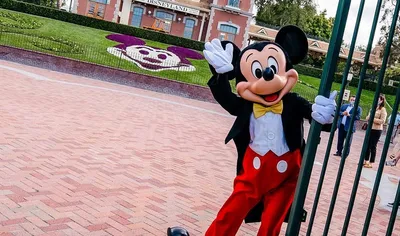 Наклейка на одежду \"Мики Маус\" Mickey Mouse Disney комбинированная ‣ Купить  в интернет-магазине Каста ‣ Киев, Одесса, Харьков ‣ Доставка по всей  Украине! (#259829733)