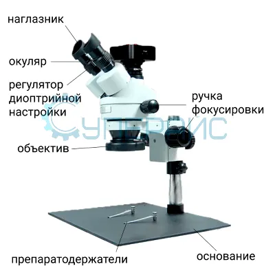 Купить детский микроскоп с набором микропрепаратов 100x-1200x в Тольятти по  цене 1010 рублей в «Micro24.ru»