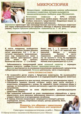 Ваш ребенок болен микроспорией - Заболевания кожи и ногтей. Уход за кожей -  Минский городской клинический центр дерматовенерологии