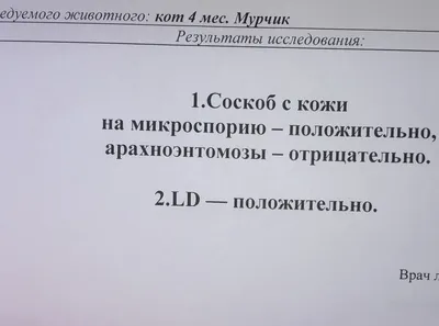 Лечение стригущего лишая (микроспория) в Киеве — Derma.ua