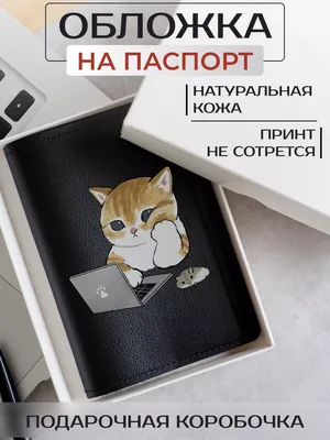 бенгальский котенок милые кошки обои, маленький кальмар ухо коричневый тигр  милый котенок, Hd фотография фото, кошка фон картинки и Фото для бесплатной  загрузки