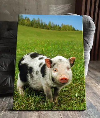 Premium Photo | This is a cute mini pig the size of a thumb with a blurry  generative ai