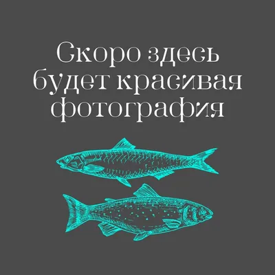 Минтай Майборг кг - купить по лучшей цене в Алматы | интернет-магазин  Технодом