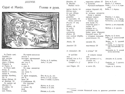 Ян Коменский «Orbis Pictus». Проверьте себя: не монстр ли вы?