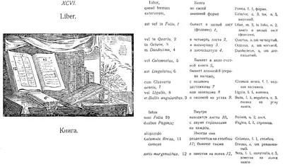 Comenius. Orbis pictus. Ян Амос Коменский. Мир чувственных вещей в картинках