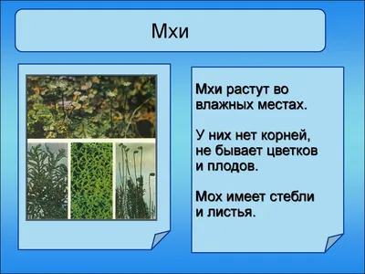 Где в Минске находится проспект Мира, и каким он станет в ближайшее время -  Минск-новости