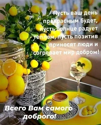 Pin by Marina on Мир позитива и Хорошего настроения! | Good morning photos,  Christian cards, Christian quotes