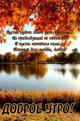 мир позитива / смешные картинки и другие приколы: комиксы, гиф анимация,  видео, лучший интеллектуальный юмор.