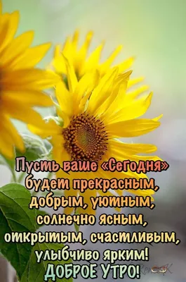 Мир позитива | Facebook