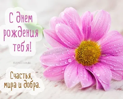 Эра детства on X: \"#настроение #улыбка #счастье #юмор #позитив #дружба #мир  #позитив #настроение #добро #прекрасно #ХорошегоДня #выходные #любовь  https://t.co/YBmraQfTcv\" / X