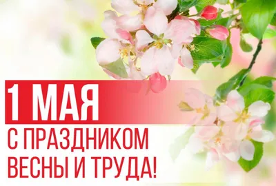 Bas-tv - \"Мир! Труд! Май!\" - эти слова известны каждому, кто родом из  советской эпохи. Праздник 1 Мая в Молдове сохранился, как традиция и как  дань уважения к старшему поколению. Чем-то особенным