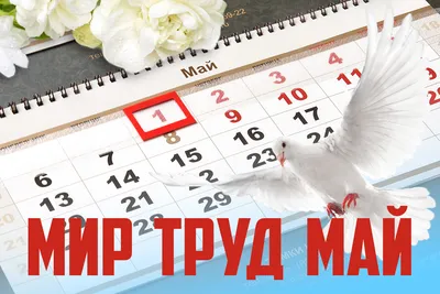 МИР ТРУД МАЙ график работы на майские. Новости сайта Твой Декор