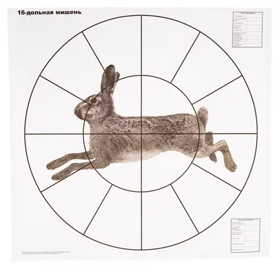 Купить Мишень для стрельбы из лука 30-50 метров. для лука и арбалета с  доставкой по всей России - ortmen.ru
