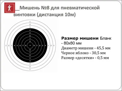 Мишень возвратная (тир) Birchwood World of Targets® Gallery® для пневматики  (арт.47017)