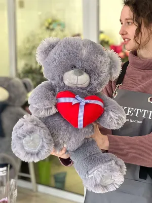 Мягкая игрушка Мишка Тедди, Мишки Тедди надпись \"Me to you\" Teddy: 212 грн.  - Мягкие животные Житомир на Olx