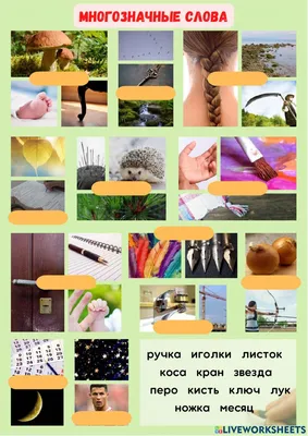 Многозначные слова activity | Live Worksheets