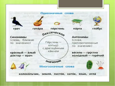 ГДЗ номер 65 /2 с.40 по русскому языку 3 класса Канакина Учебник (часть 1)  — Skysmart Решения