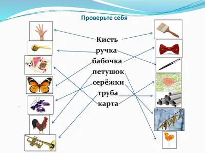 Изучение многозначных слов в начальной школе курсовая по педагогике |  Дипломная Учебные процессы | Docsity