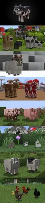 Minecraft: Mobs en la vida real (personajes, cosas) | Предметы, Мемы, Фильмы