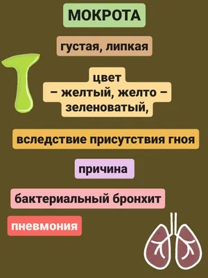 19 ноября – Всемирный день отказа от курения