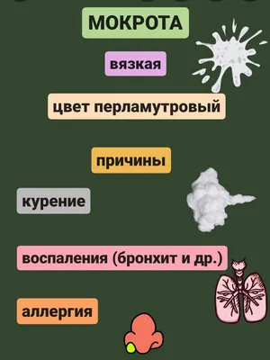 ХОБЛ – бич курильщика. Минздрав предупреждает: бросайте курить прямо сейчас  | 17.11.2022 | Тольятти - БезФормата