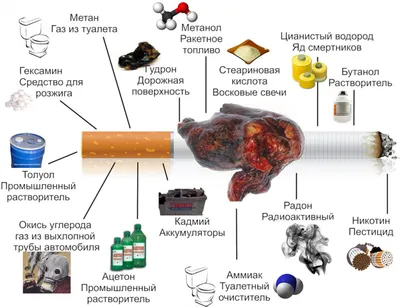 Бросить курить, Тайские шарики против курения, 17 г купить по низким ценам  в интернет-магазине Uzum (414378)