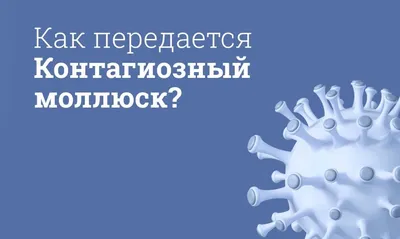 На Дону начали добывать азиатских моллюсков в Азовском море