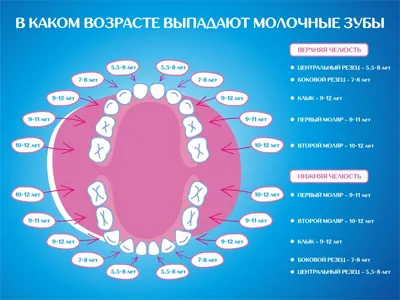 Молочные зубы у взрослых | Семейная стоматология