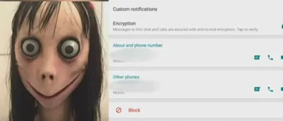 Internet phenomenon \"Momo\": After chain letter now suicide challenge?