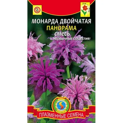 Монарда натуральное эфирное масло в интернет-магазине Ярмарка Мастеров по  цене 273 ₽ – TJ59KBY | Масло, Краснодар - доставка по России