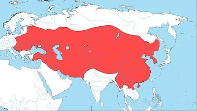 Монгольские ультраправые: нацисты или националисты? - BBC News Русская  служба