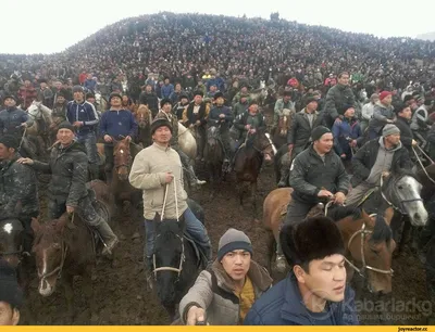 монголы / смешные картинки и другие приколы: комиксы, гиф анимация, видео,  лучший интеллектуальный юмор.