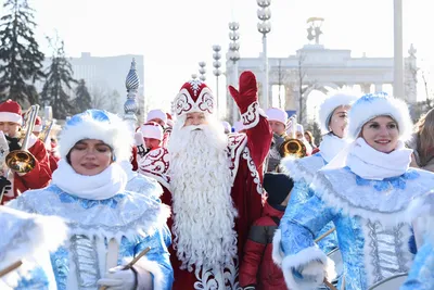 ДЕД МОРОЗ (цвет белый с серебром) в Москве: купить по цене 2 278 руб.  новогодний подарок с доставкой в интернет-магазине