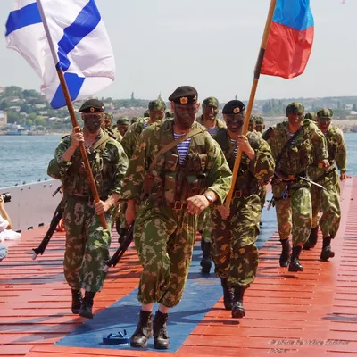 Флаг 155 отдельной бригады морской пехоты Тихоокеанского флота