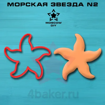 Sea star морская звезда | Звезда, Морская звезда, Роспись футболок